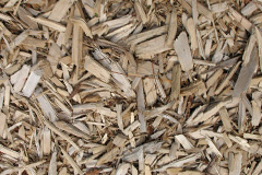 biomass boilers Ardlui